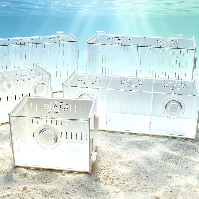 뚜껑이 있는 분리형 어항, 다기능 수족관 인큐베이터,  - Aquarium Fish Parrot 리뷰 및 가격