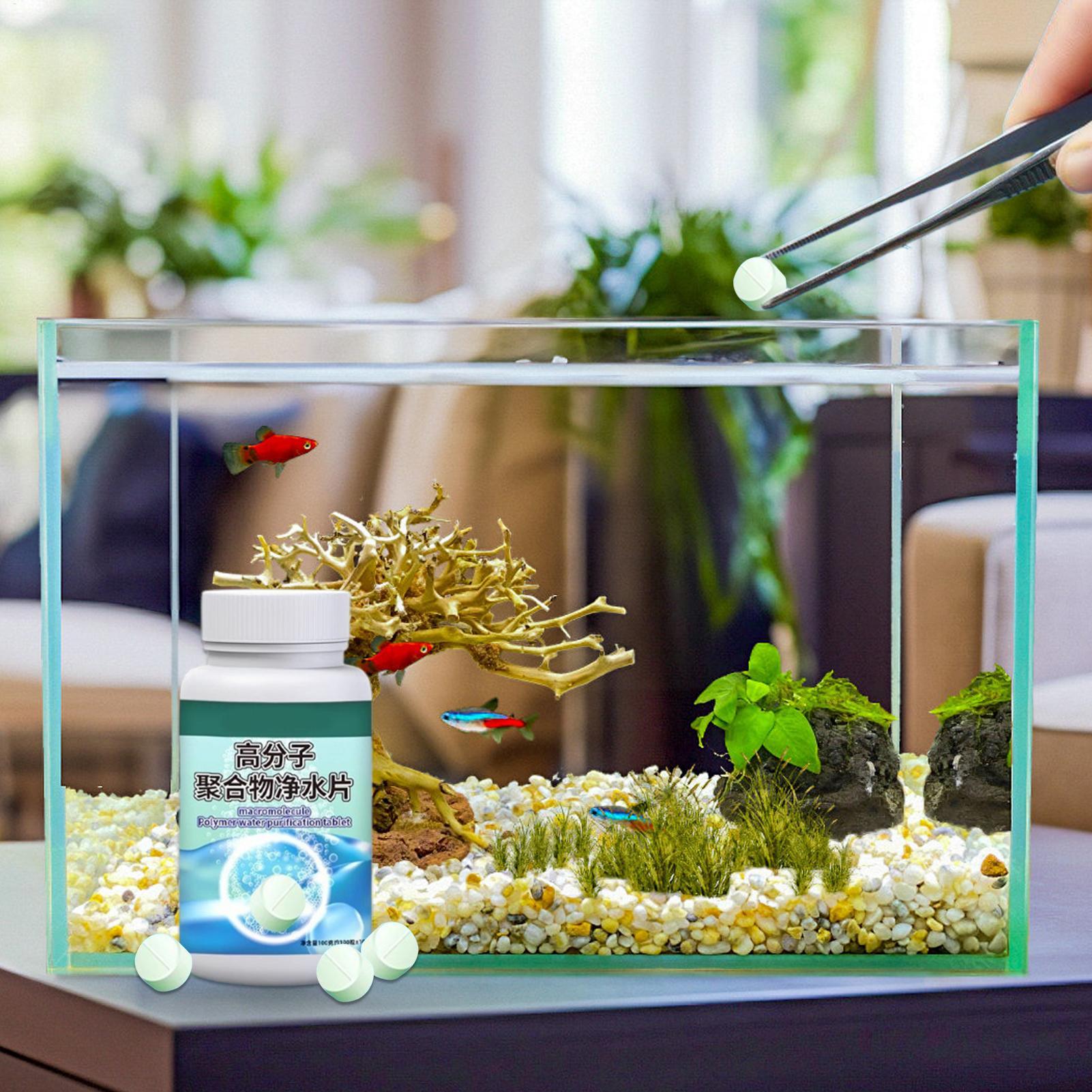 어항 물 정화제 알개 제거제 타블렛, 분수, 베타, 새 - Aquarium Fishing 리뷰 및 가격