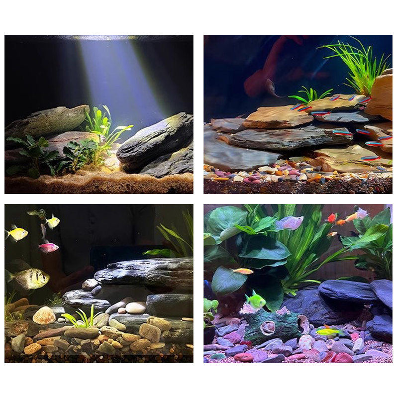 500/1000g 어항 조경석 키트 슬레이트 석재 테라 - Aquarium Fish Saltwater 리뷰 및 가격
