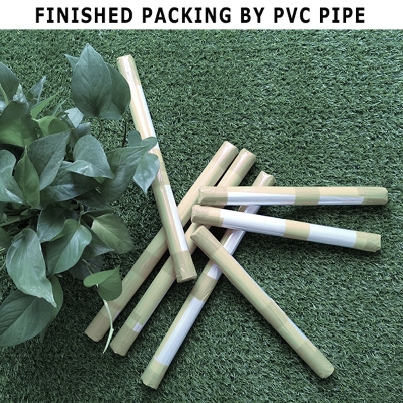 3pcs 일출 해변 바다 파도 베이지 풍경 캔버스 인쇄 - Live Plant Fertilizer 리뷰 및 가격