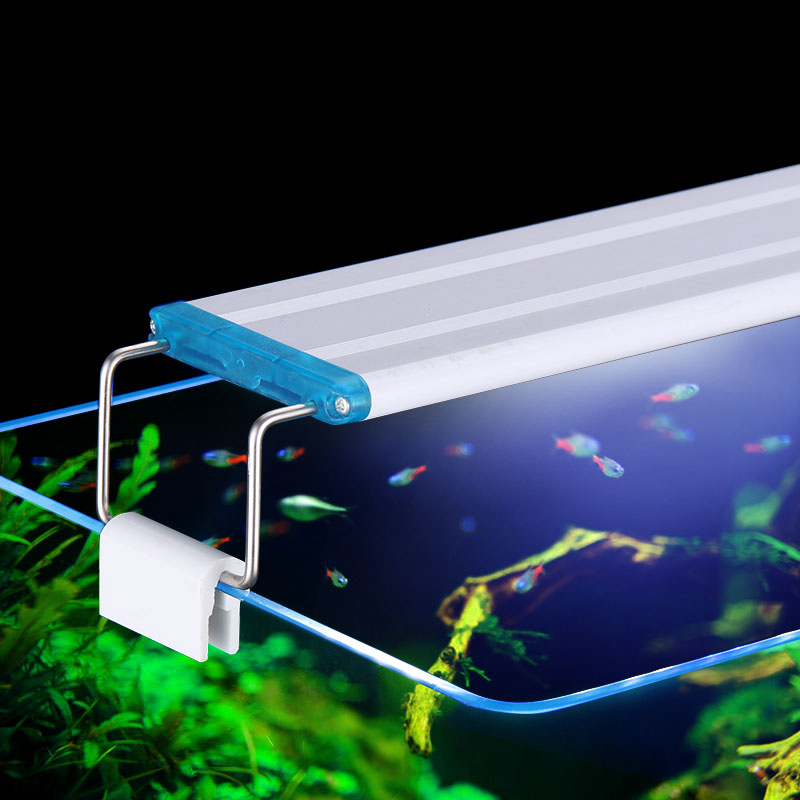 물고기 탱크 슈퍼 슬림 LED 수족관 조명 수생 식물  - Aquarium Fish Quarantine 리뷰 및 가격