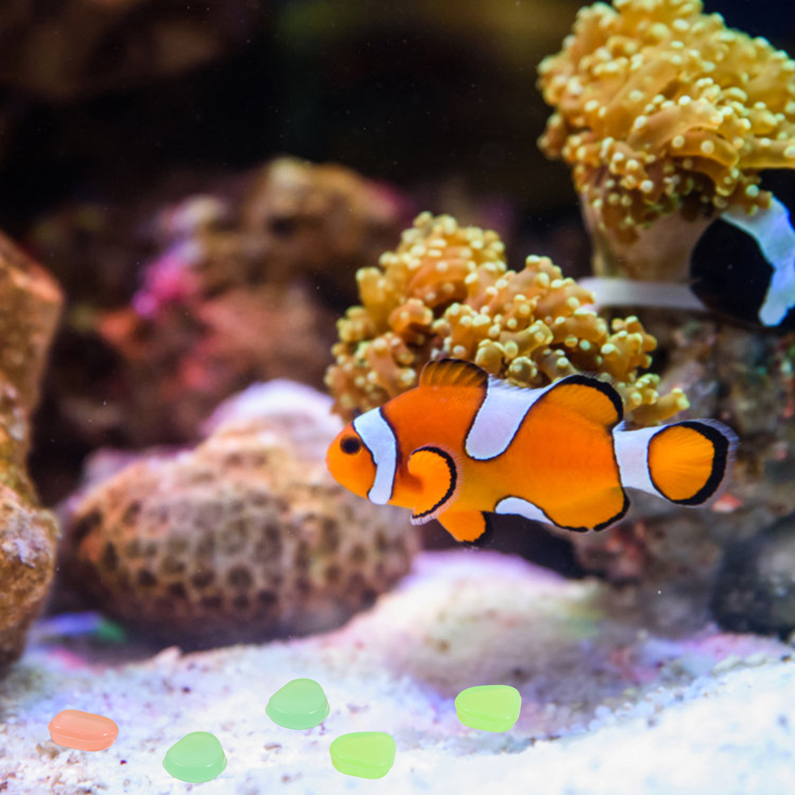 400개 야광 자갈 어항 장식용 돌, 어항 정원 조경  - Aquarium Fish That Glow In The Dark 리뷰 및 가격