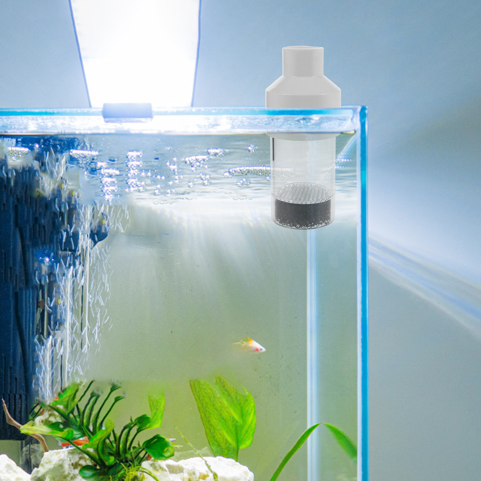 어류 부화기 인큐베이터 50mm 수족관 텀블러 번식 도 - Aquarium Fish Usa 리뷰 및 가격