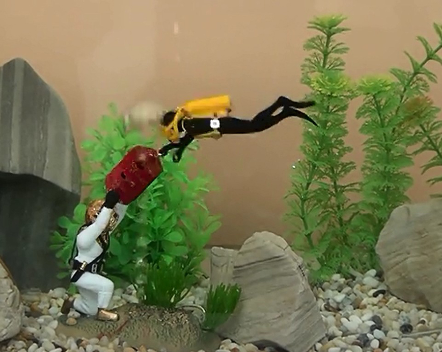 수중 수족관 장식, 수족관 탱크 장식, W76, 멋진  - Aquarium Fish Gif 리뷰 및 가격