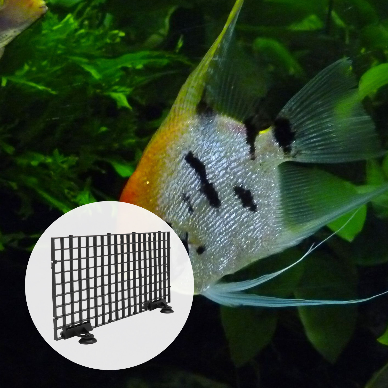 어류 번식용 그물망 대형 검정 플라스틱 필터 그리드 보 - Aquarium Fish Net Big Size 리뷰 및 가격