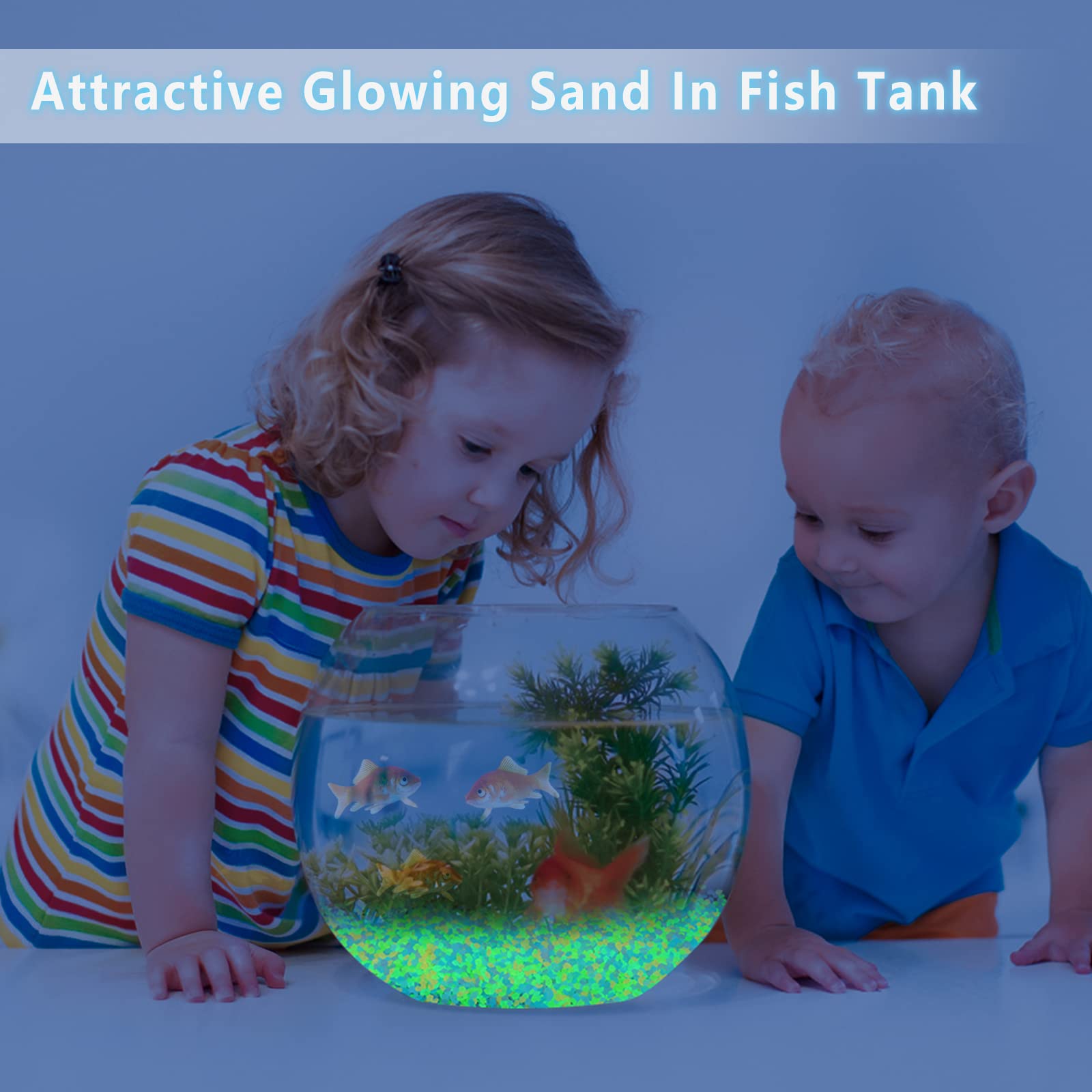 1000개 발광 모래 어둠 속에서 빛나는 자갈 돌 가정 - Aquarium Fish That Glow In The Dark 리뷰 및 가격