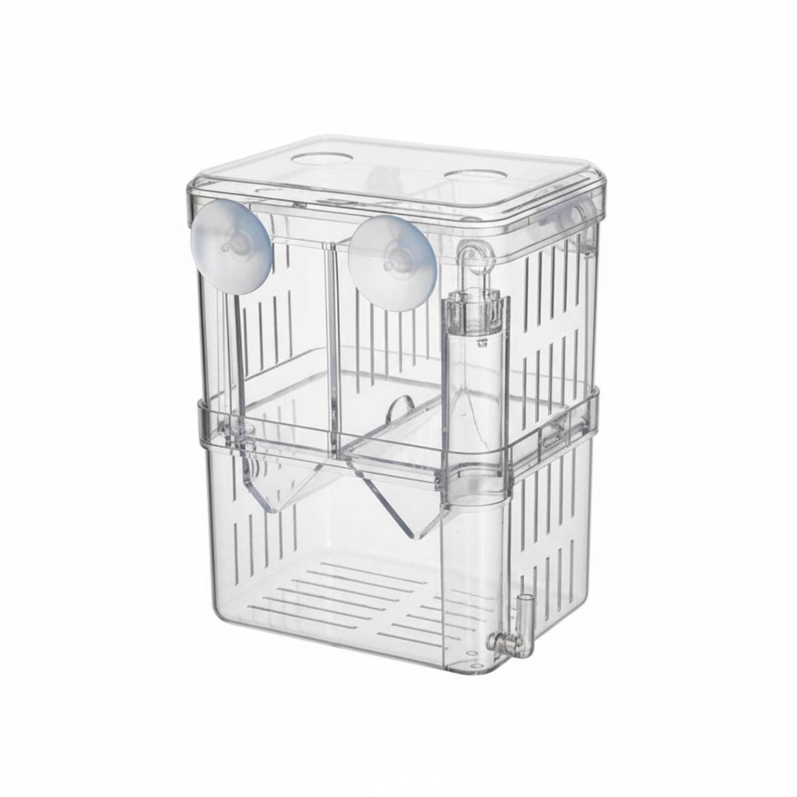 이중층 수족관 번식 탱크 새끼 물고기 격리 분리기 투명 - Aquarium Fish Usa 리뷰 및 가격