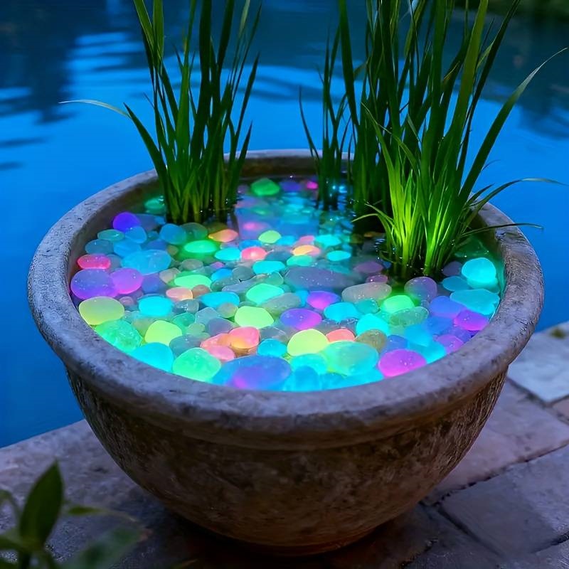 200개 야광 정원 자갈, 보도, 정원 테라스, 잔디밭 - Aquarium Fish That Glow In The Dark 리뷰 및 가격