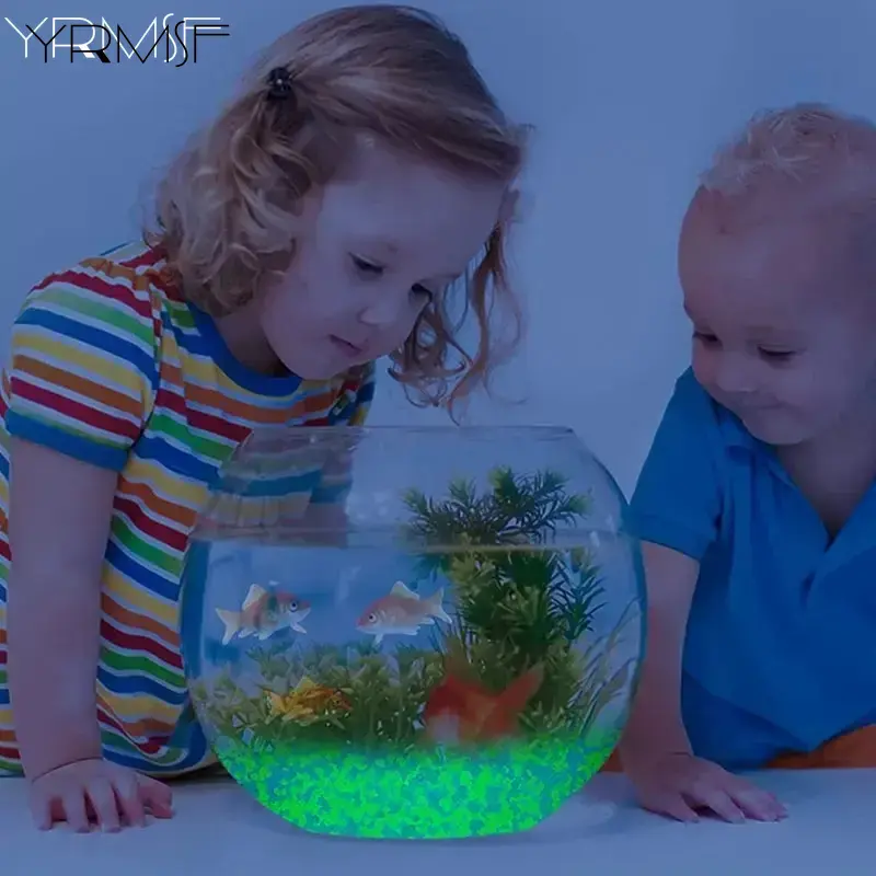 1000pcs 어두운 자갈 돌에 3-5mm 빛나는 모래 - Aquarium Fish That Glow In The Dark 리뷰 및 가격