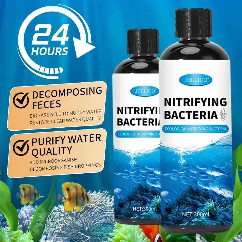 질화 박테리아 액체 물고기 탱크 정수기 수족관 물고기  - Aquarium Fishing 리뷰 및 가격