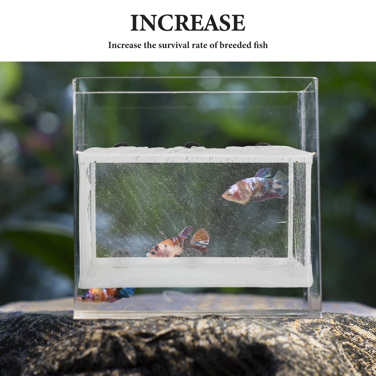 대형 어망, 어류 배양통, 수족관 인큐베이터, 흡착판  - Aquarium Fish Net Big Size 리뷰 및 가격