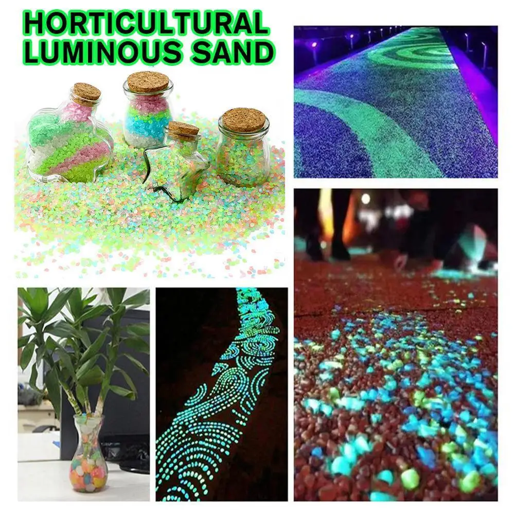 2000개 3-5mm 야광 모래 어둠 속에서 빛나는 자 - Aquarium Fish That Glow In The Dark 리뷰 및 가격