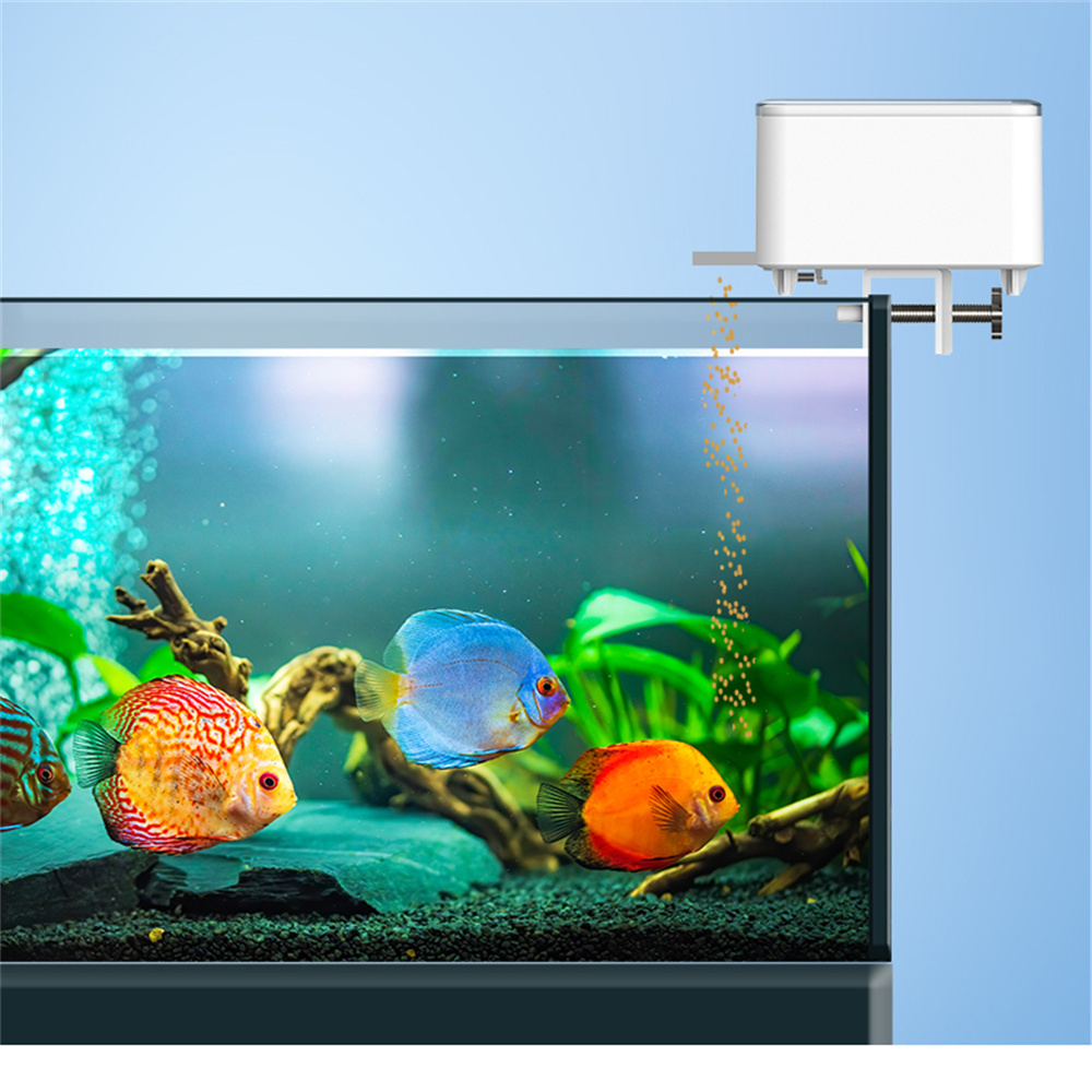 WiFi 스마트 자동 급식기 어항 금붕어 타이밍 급식기 - Aquarium Fish Big 리뷰 및 가격