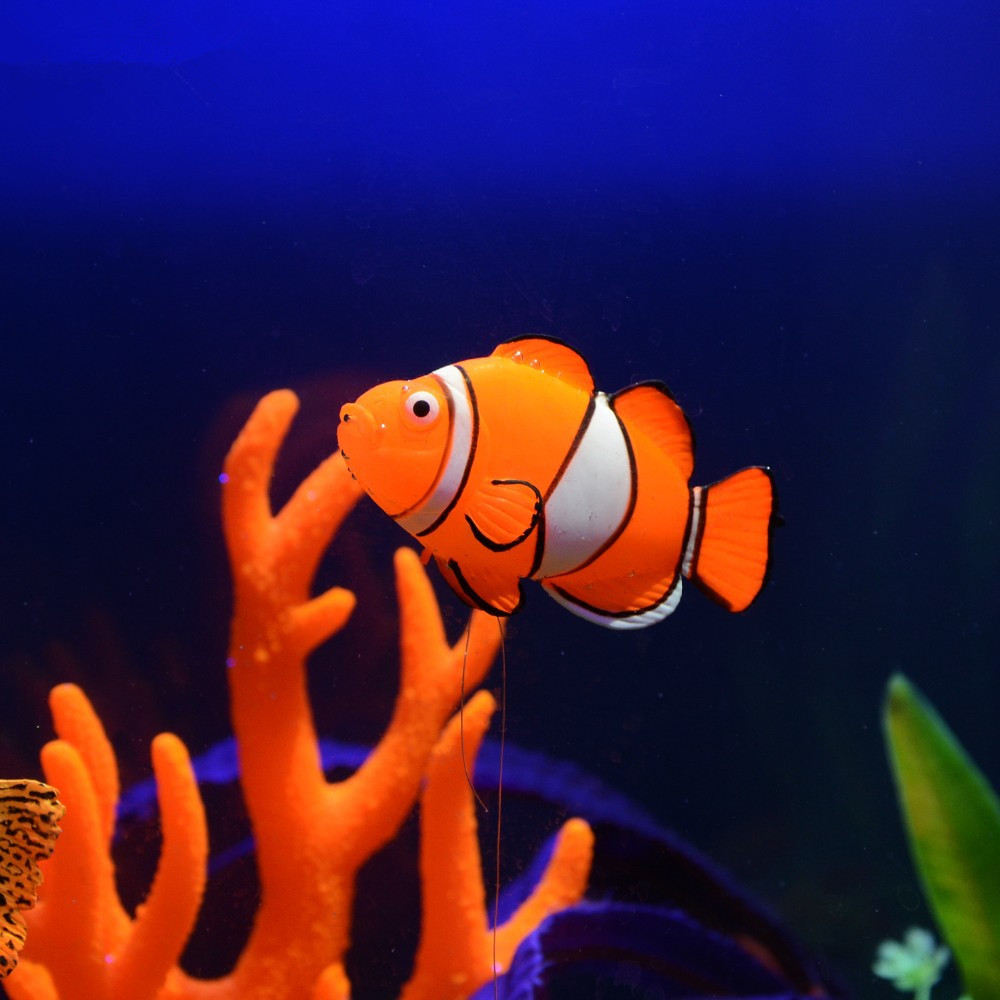 야광 발광 실리콘 물고기 어항 장식물 광대어 수조 해양 - Aquarium Fish That Glow In The Dark 리뷰 및 가격