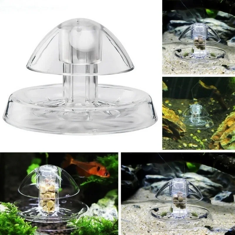 수족관 해충 달팽이 트랩 투명 어항 청소 도구 달팽이  - Cleaner Fish Aquarium 리뷰 및 가격