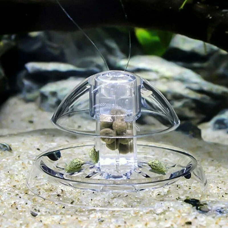 수족관 해충 달팽이 트랩 투명 어항 청소 도구 달팽이  - Cleaner Fish Aquarium 리뷰 및 가격