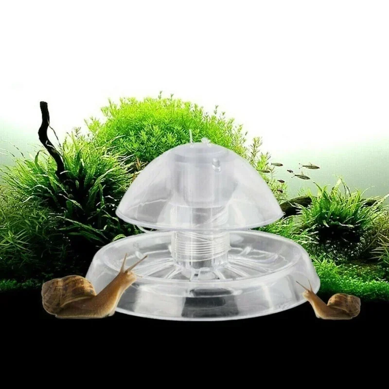 수족관 해충 달팽이 트랩 투명 어항 청소 도구 달팽이  - Cleaner Fish Aquarium 리뷰 및 가격
