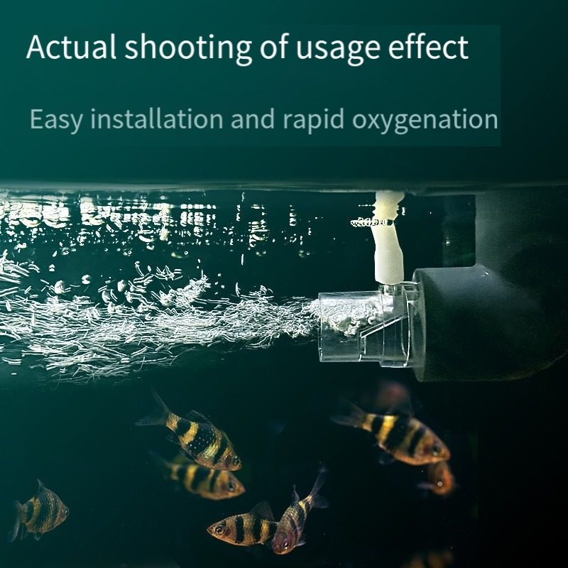 물 배출구의 산소 디퓨저 파이프 필터 수조는 산소를 확 - Aquarium Fish Without Oxygen 리뷰 및 가격