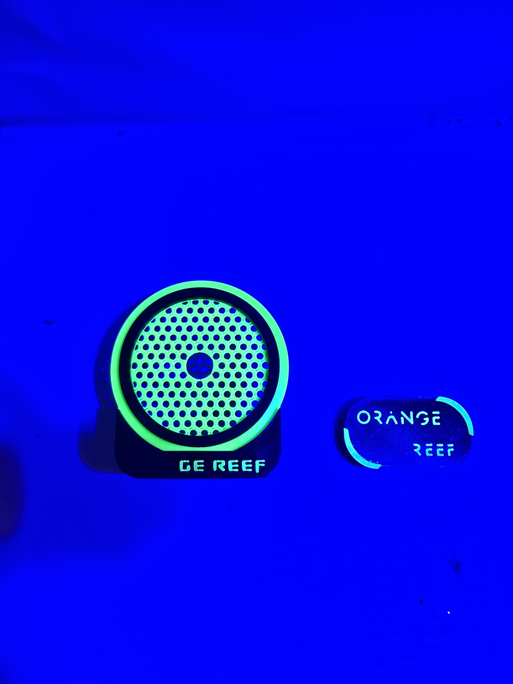 3D 프린팅 조절 가능 야광 자석 산호 홀더, 해수어  - Aquarium Fish That Glow In The Dark 리뷰 및 가격
